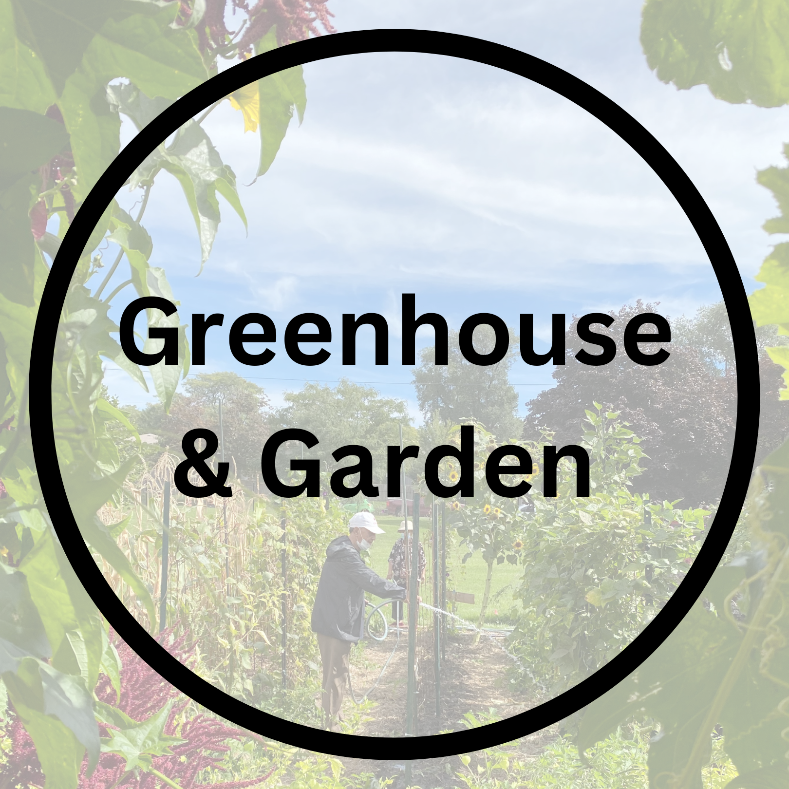 Garden & Greenhouse