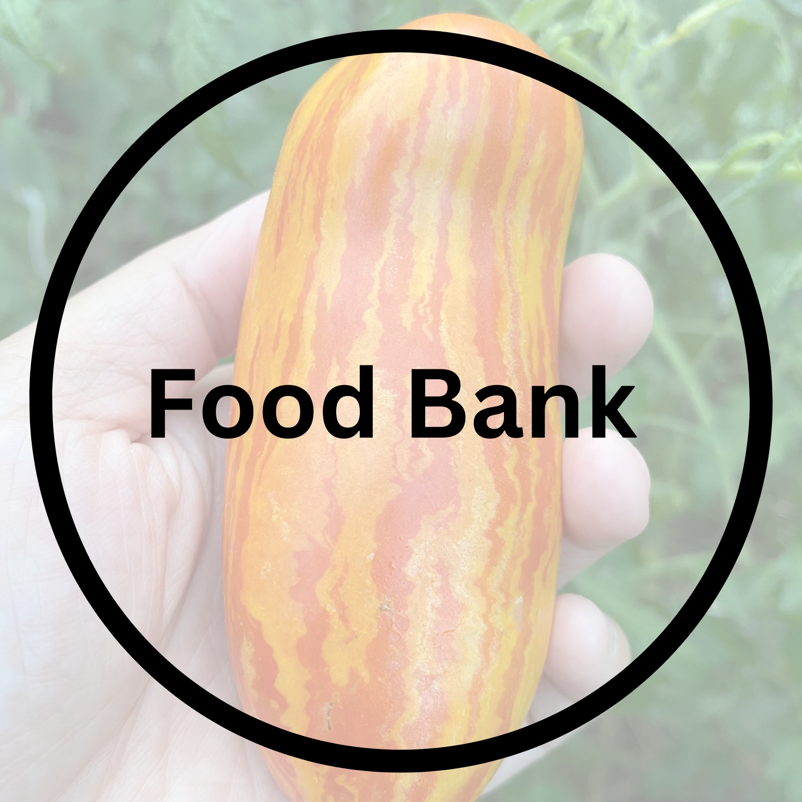 Food Bank