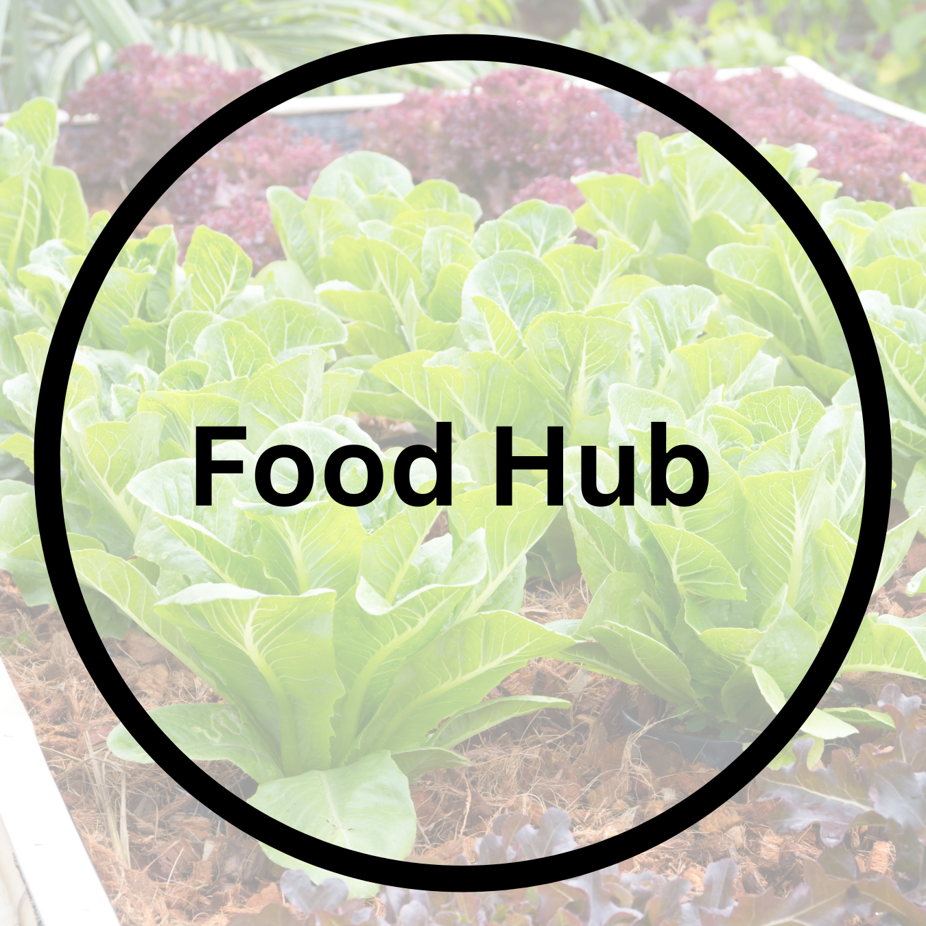 Food Hub